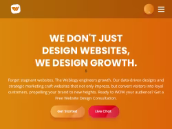 Theweblogy
