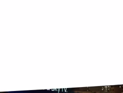 Rapportww