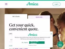 Amica