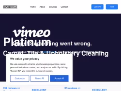 Platinumcarpetcleaning