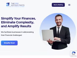 Theproaccountants