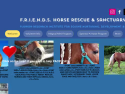 Eiahorses