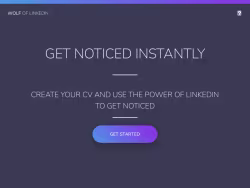 Wolfoflinkedin