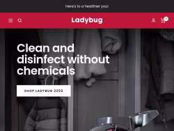 Ladybugsteamcleaners