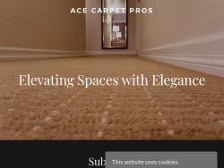 Acecarpetpros