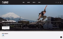 Dvsshoes