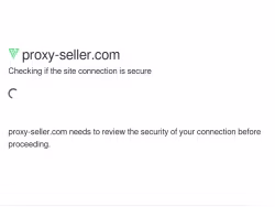 Proxy-seller