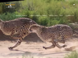 Sandyssafaris