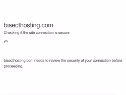 Bisecthosting