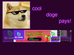 Cooldogepays