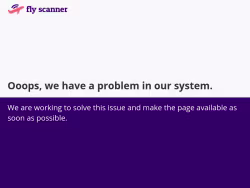 Fly-scanner