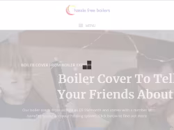 Hasslefreeboilers