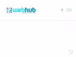 Webhubexperts