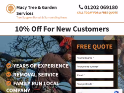 Dmtreesurgeondorset