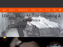 1detaildude
