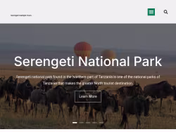 Serengetistarlighttours