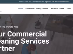 Pristinecleancleaning