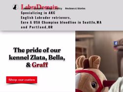 Labradomain