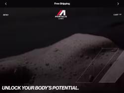 Mortalislabs