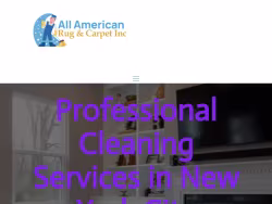 Arearugcleaningny