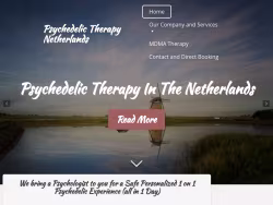 Psychedelicswork