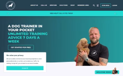 Southenddogtraining