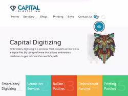 Capitaldigitizing