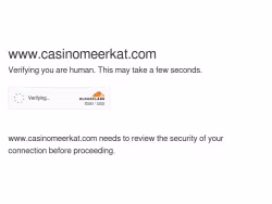 Casinomeerkat