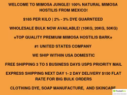 Mimosajungle