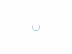 Hidive