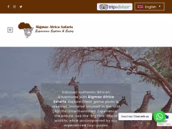 Bigmacafricasafaris
