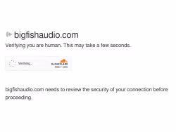Bigfishaudio