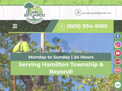Estuardotreeservices