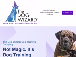 Thedogwizard