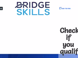 Bridgeskills