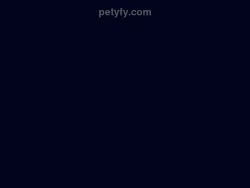 Petyfy