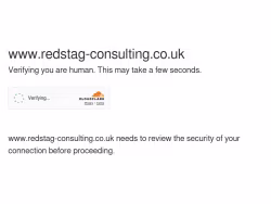 Redstag-consulting