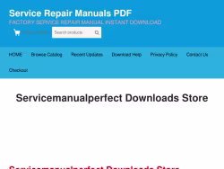 Servicemanualperfect