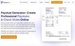 Paystubnow