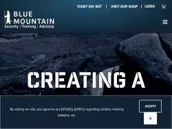 Bluemountaingroup