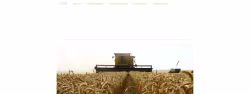 Continentalfarmersgroup