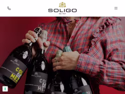 Collisoligo