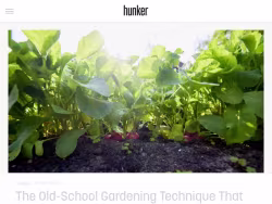 Hunker