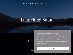 Marketinguru