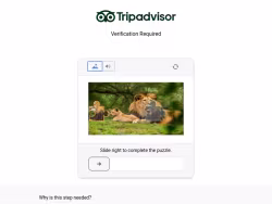 Tripadvisor