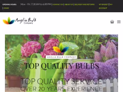 Angliabulbs