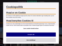 Automester-stege