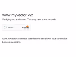 Myvector