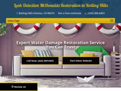 Leakdetectionmdrestoration