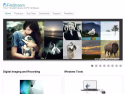 Filestream